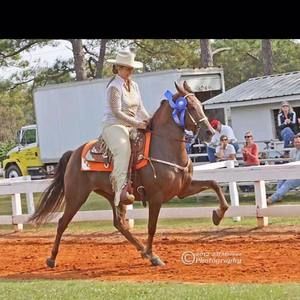 Meet your Posher, Laurie